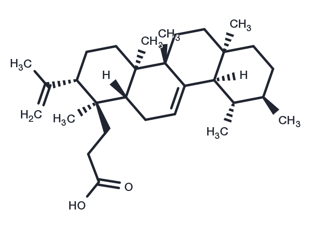 TargetMol Chemical Structure Roburic acid