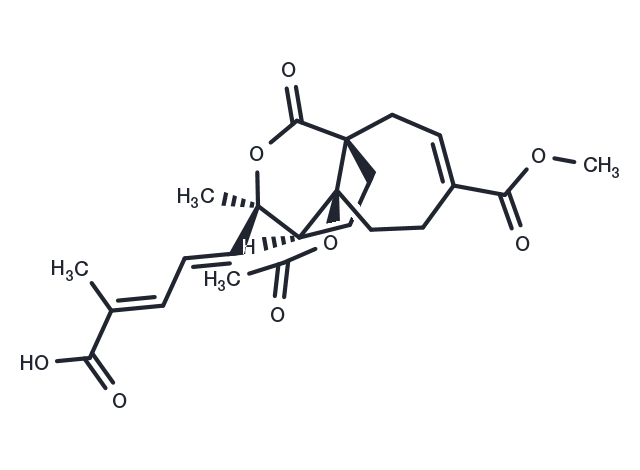 TargetMol Chemical Structure Pseudolaric Acid B