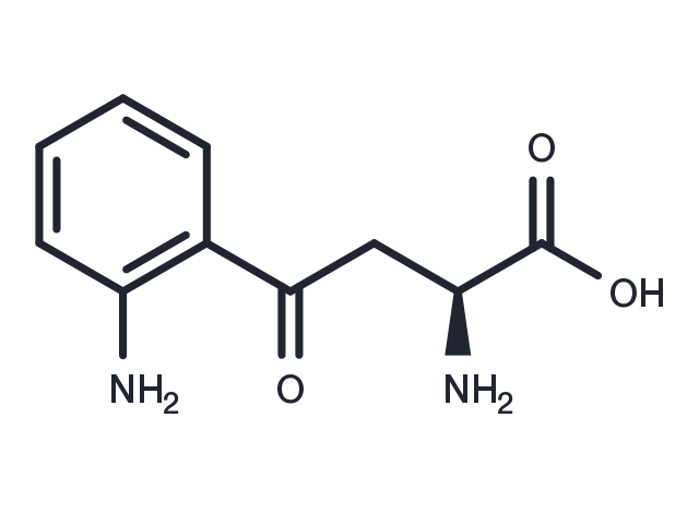 TargetMol Chemical Structure L-Kynurenine