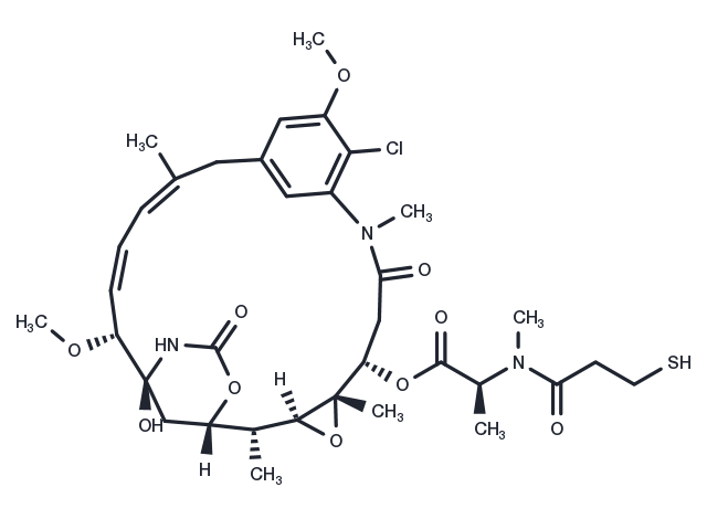 TargetMol Chemical Structure Mertansine
