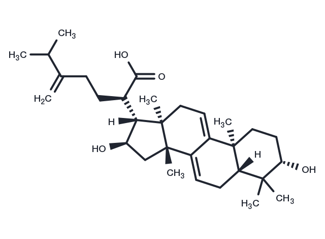 TargetMol Chemical Structure Dehydrotumulosic acid