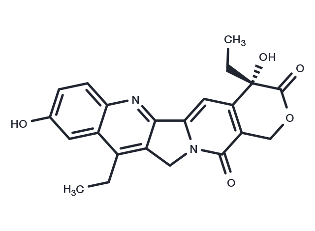 TargetMol Chemical Structure SN-38