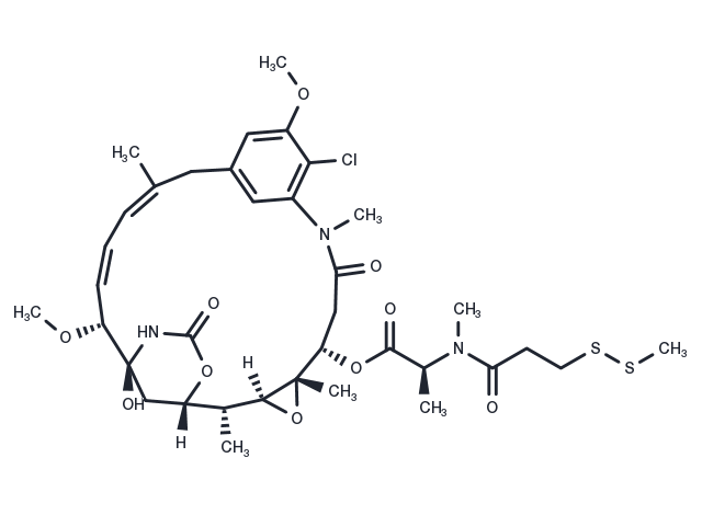 TargetMol Chemical Structure DM1-SMe