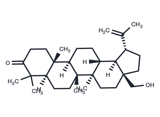 3-Oxobetulin Chemical Structure