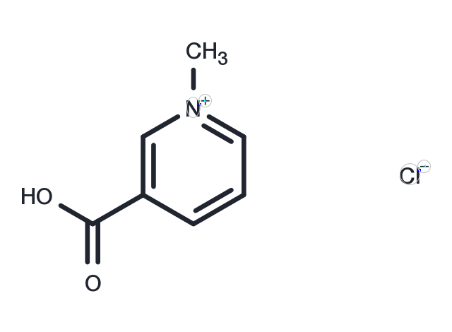 TargetMol Chemical Structure Trigonelline chloride