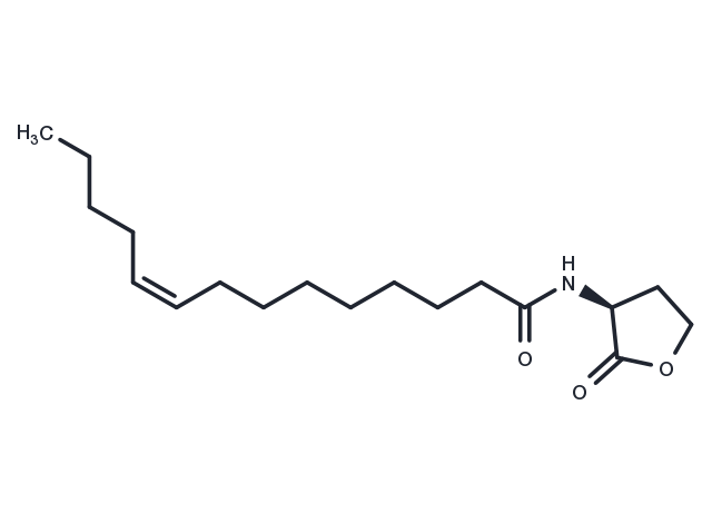 N-cis-tetradec-9Z-enoyl-L-Homoserine lactone Chemical Structure
