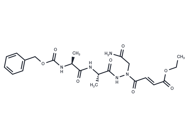 RR-11a analog Chemical Structure