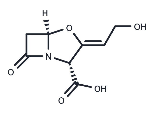 TargetMol Chemical Structure Clavulanic Acid