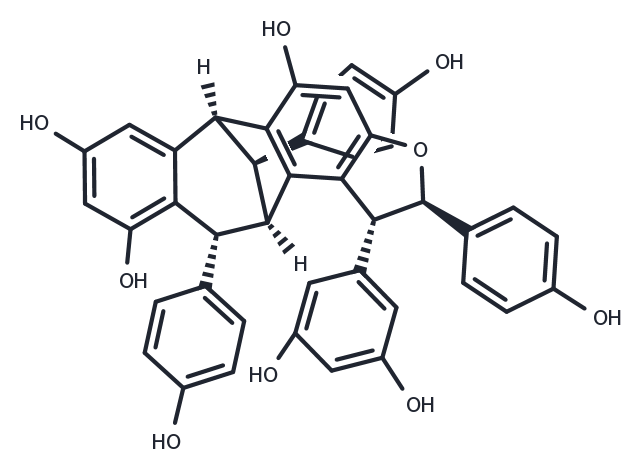 Ampelopsin G Chemical Structure