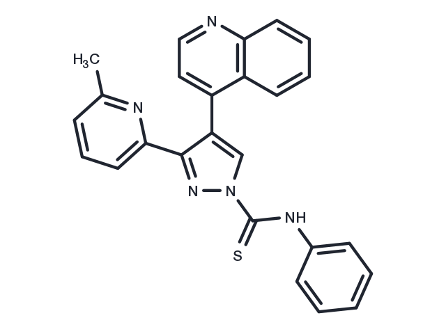 TargetMol Chemical Structure A 83-01