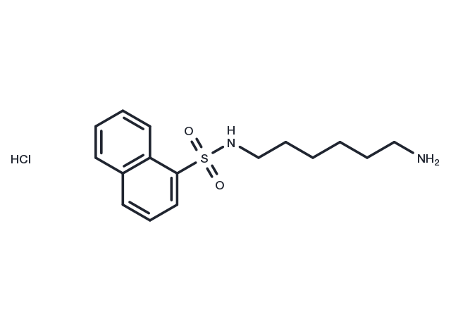 TargetMol Chemical Structure W-5 hydrochloride