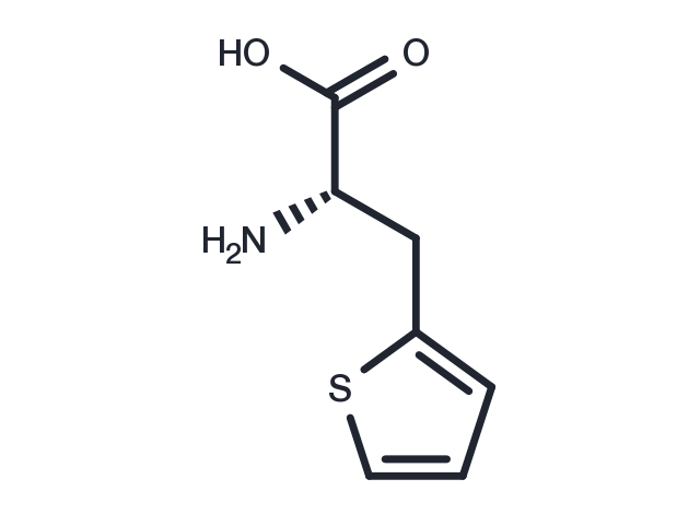 (S)-2-Amino-3-(thiophen-2-yl)propanoic acid Chemical Structure