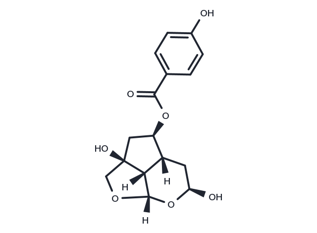 TargetMol Chemical Structure Catalpin