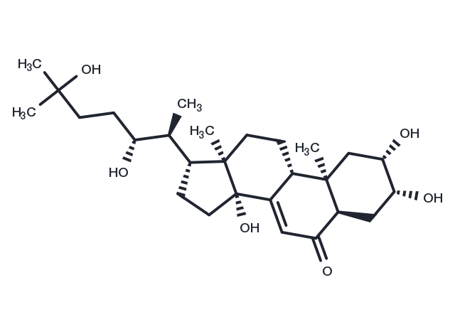 TargetMol Chemical Structure Ecdysone