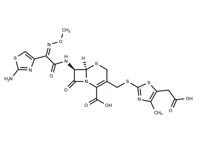 Cefodizime Chemical Structure