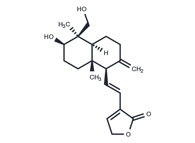 TargetMol Chemical Structure 14-Deoxy-11,12-didehydroandrographolide