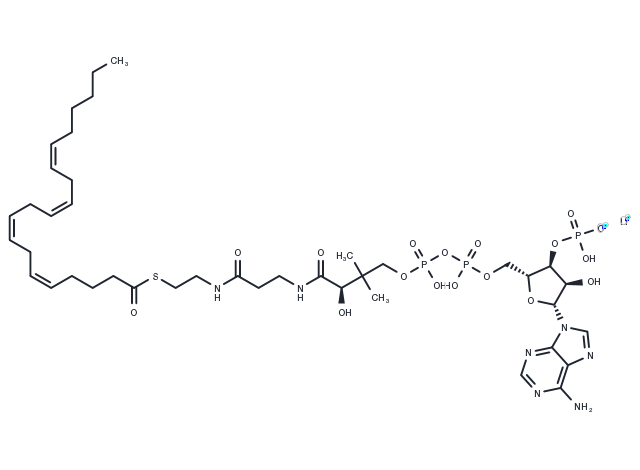 Arachidonoyl coenzyme A lithium Chemical Structure