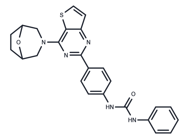 TargetMol Chemical Structure mTOR inhibitor 9f