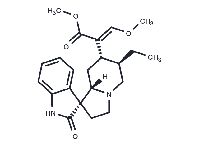 TargetMol Chemical Structure Rhynchophylline