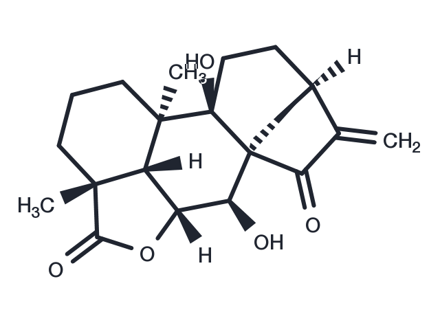 ent-7alpha,9-Dihydroxy-15-oxokaur-16-en-19,6bet-olide Chemical Structure