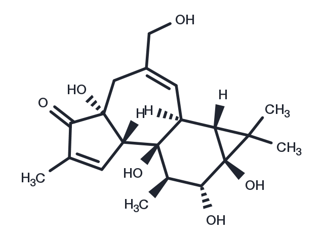 TargetMol Chemical Structure Phorbol