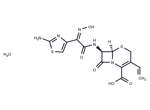 Cefdinir monohydrate Chemical Structure