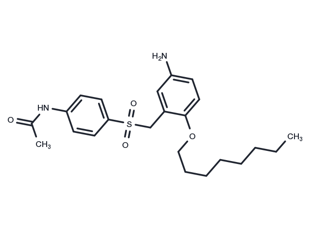 Acetamide, N-(4-((5-amino-2-(octyloxy)phenyl)methyl)sulfonyl)- (9CI) Chemical Structure