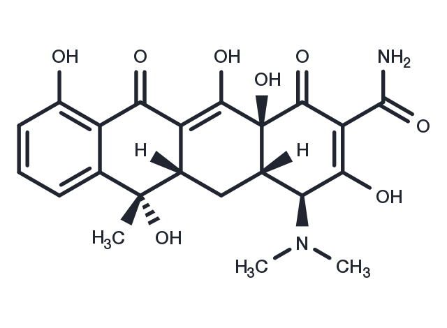 TargetMol Chemical Structure Tetracycline
