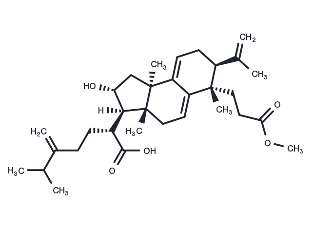 Poricoic acid AM Chemical Structure
