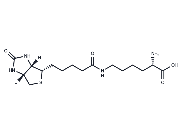 TargetMol Chemical Structure Biocytin