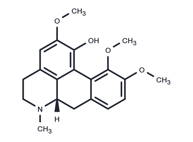 TargetMol Chemical Structure Corydine
