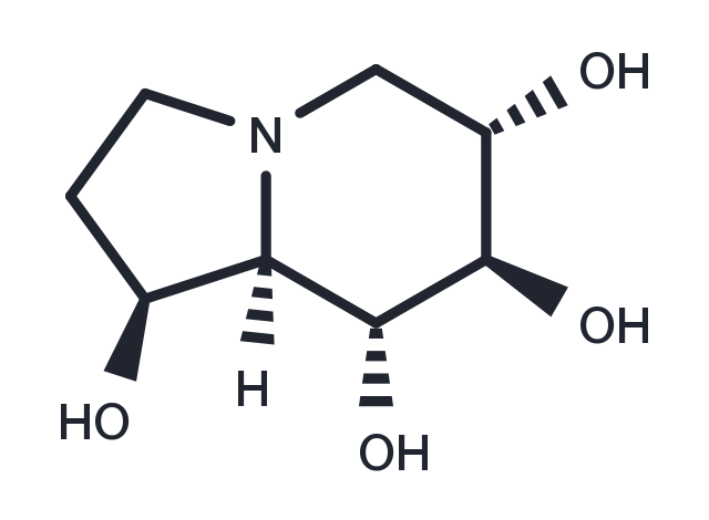TargetMol Chemical Structure Castanospermine