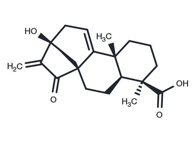 Pterisolic acid C Chemical Structure