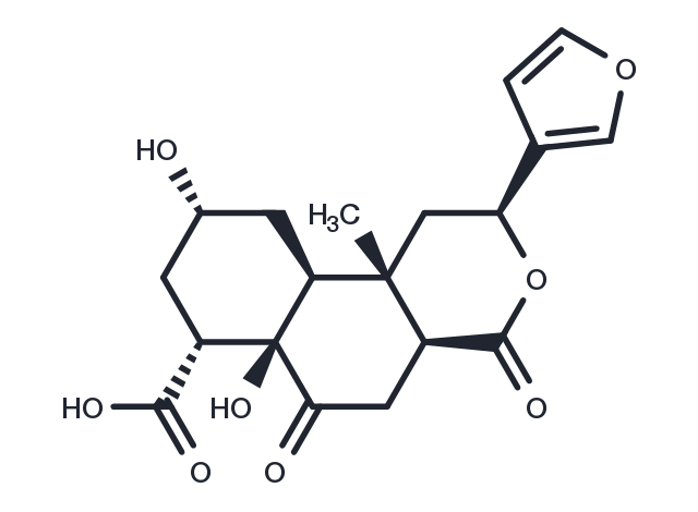 TargetMol Chemical Structure Diosbulbin J