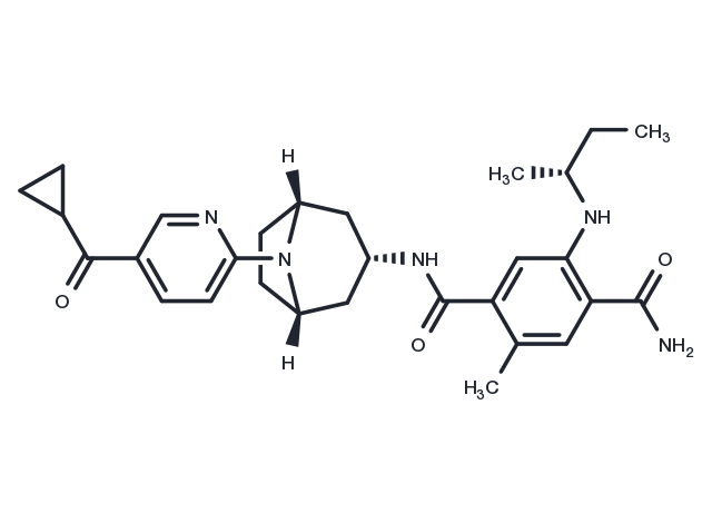 TargetMol Chemical Structure XL888