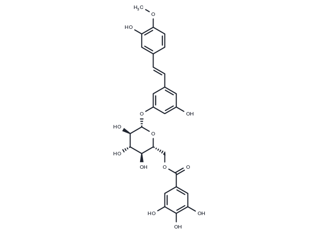 Rhaponticin 6′′-O-gallate Chemical Structure