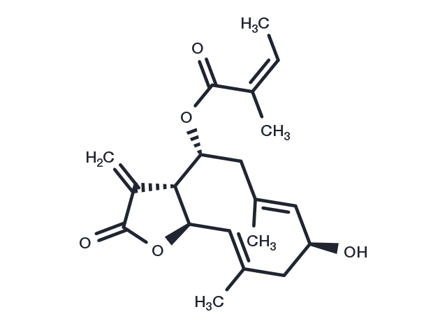2alpha-Hydroxyeupatolide 8-O-angelate Chemical Structure