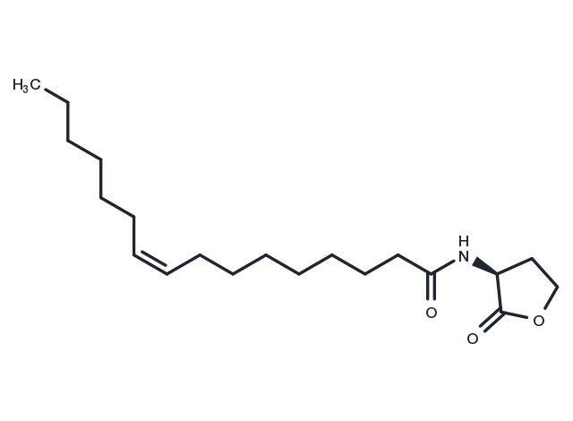 N-cis-hexadec-9Z-enoyl-L-Homoserine lactone Chemical Structure