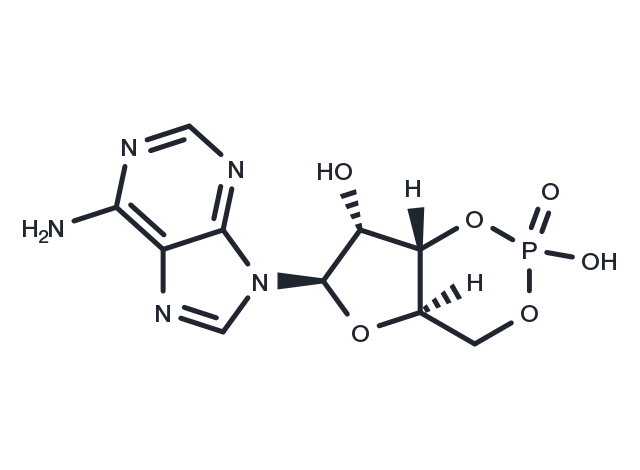 TargetMol Chemical Structure Cyclic AMP