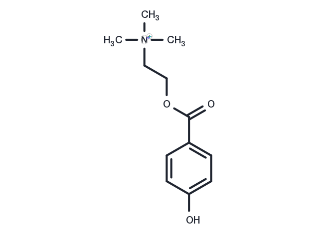 TargetMol Chemical Structure 4-Hydroxybenzoyl choline