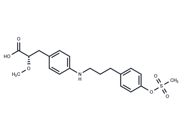 TargetMol Chemical Structure PPAR agonist 1