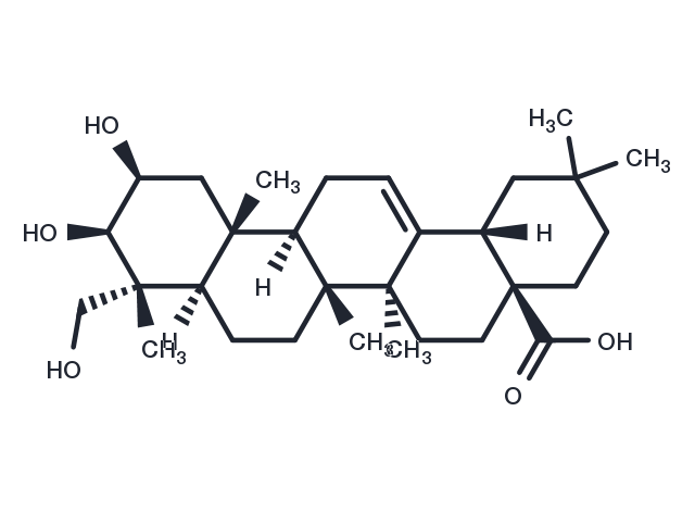 TargetMol Chemical Structure Bayogenin