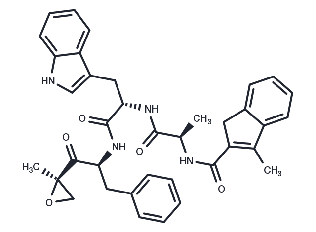 TargetMol Chemical Structure PR-924