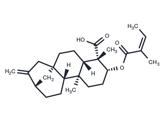 ent-3Beta-Angeloyloxykaur-16-en-19-oic acid Chemical Structure