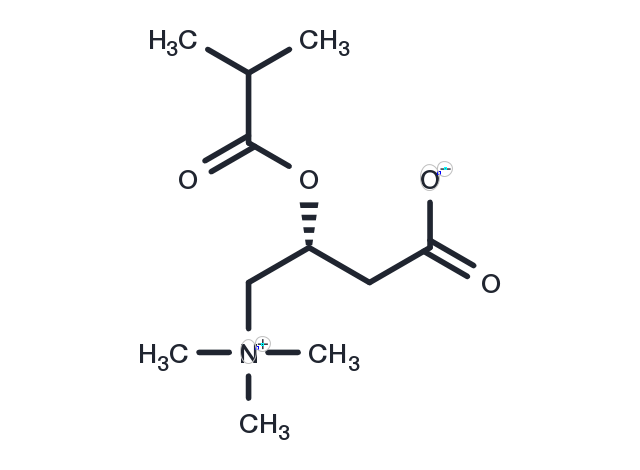 TargetMol Chemical Structure Isobutyryl-L-carnitine