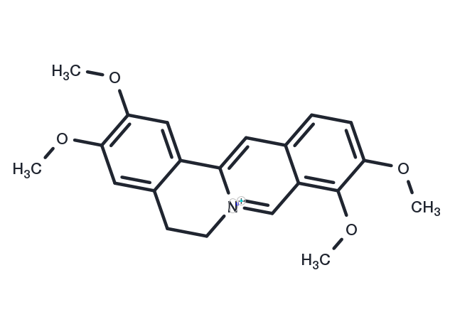 TargetMol Chemical Structure Palmatine
