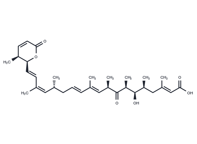 Leptomycin A Chemical Structure