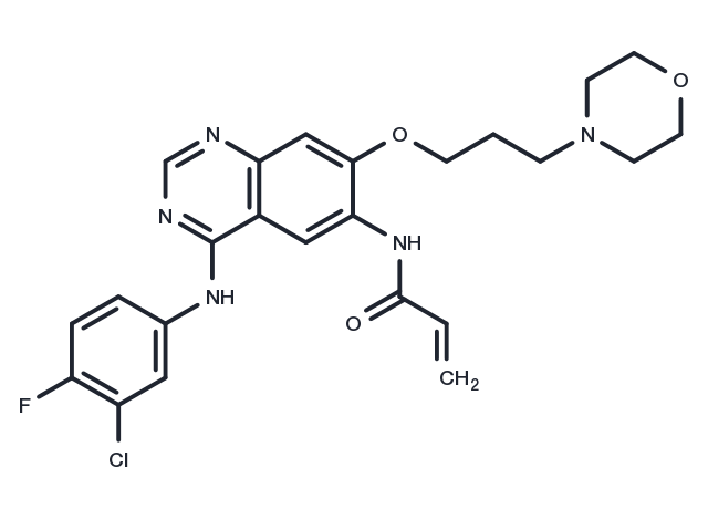 TargetMol Chemical Structure Canertinib
