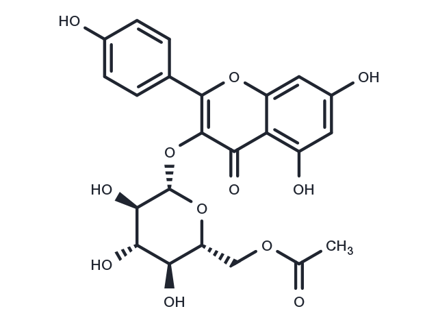 6''-O-Acetylastragalin Chemical Structure