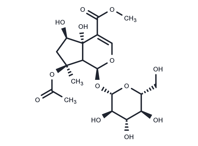 Phlorigidoside B Chemical Structure